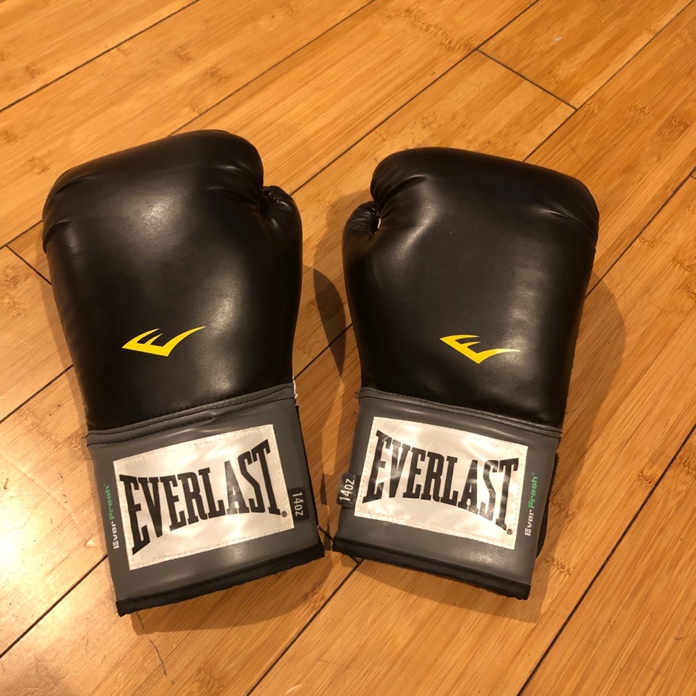 EVERLAST PRO STYLE TRAINING GLOVES (14 oz)